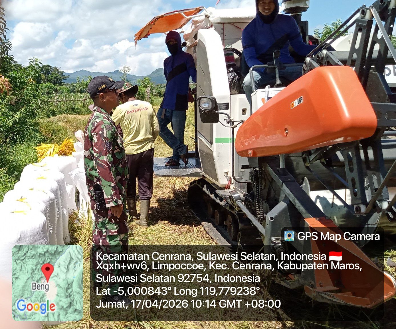 Babinsa Limapoccoe Dampingi Panen Padi Warga, Pastikan Kegiatan Berjalan Lancar