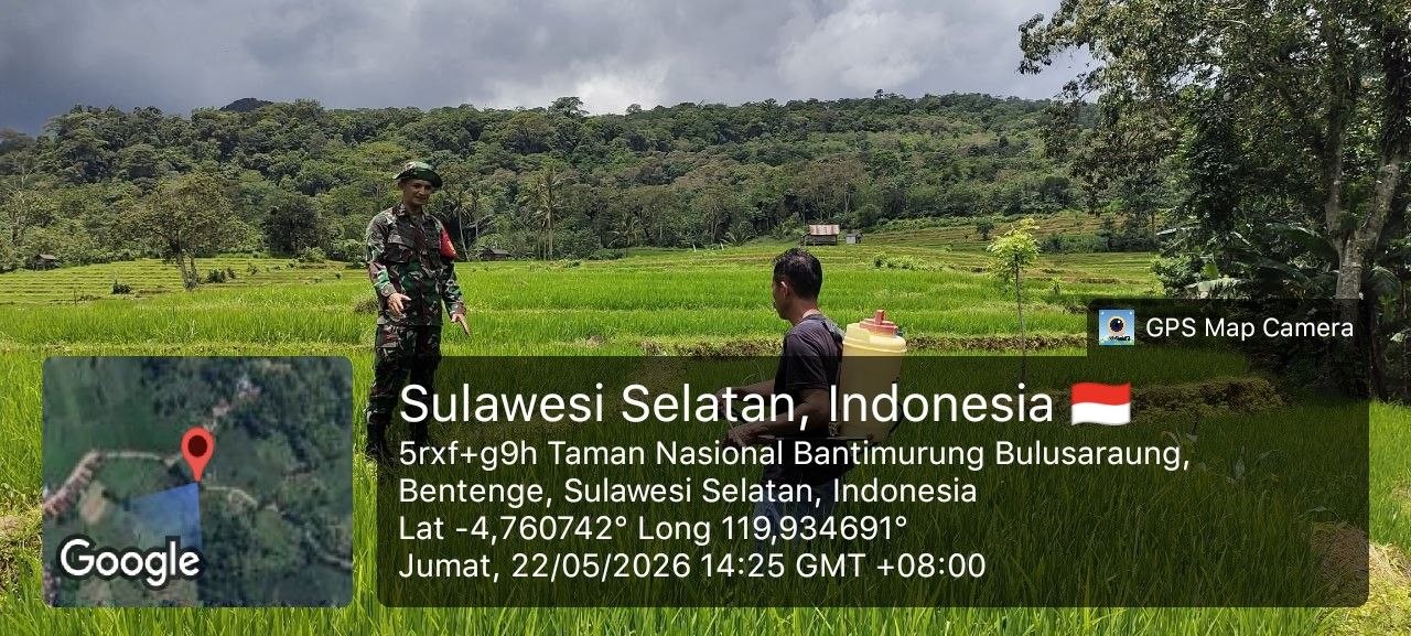 Babinsa Desa Wanuawaru Dampingi Poktan Langi III Dalam Upaya Ketahanan Pangan