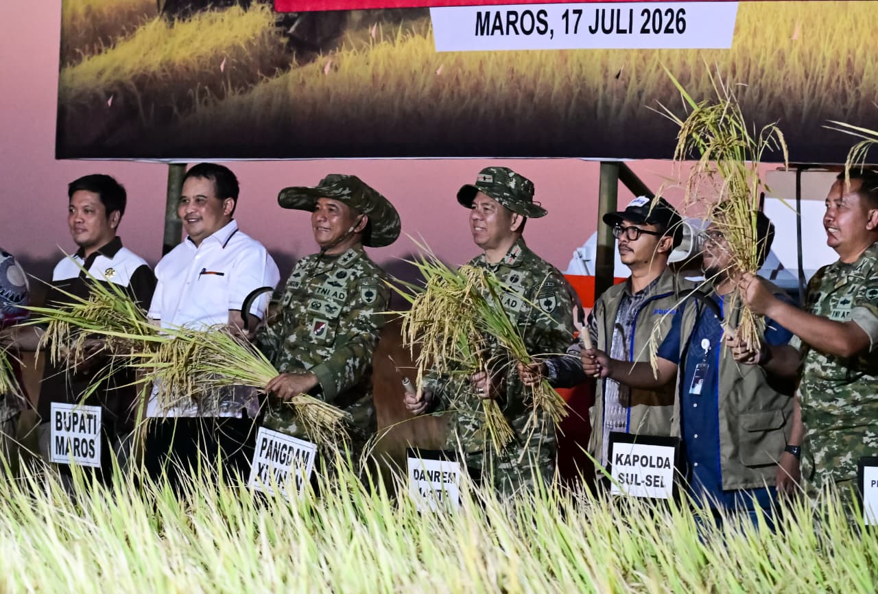 Pangdam XIV/Hasanuddin Pimpin Panen Raya 338 Hektare di Maros, Dukung Ketahanan Pangan Nasional