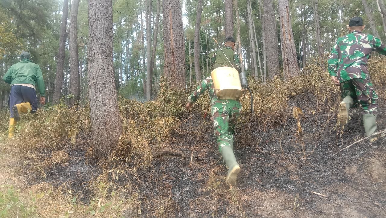 Babinsa dan Warga Padamkan Karhutla di Hutan Pinus Camba, 2,5 Hektare Terbakar