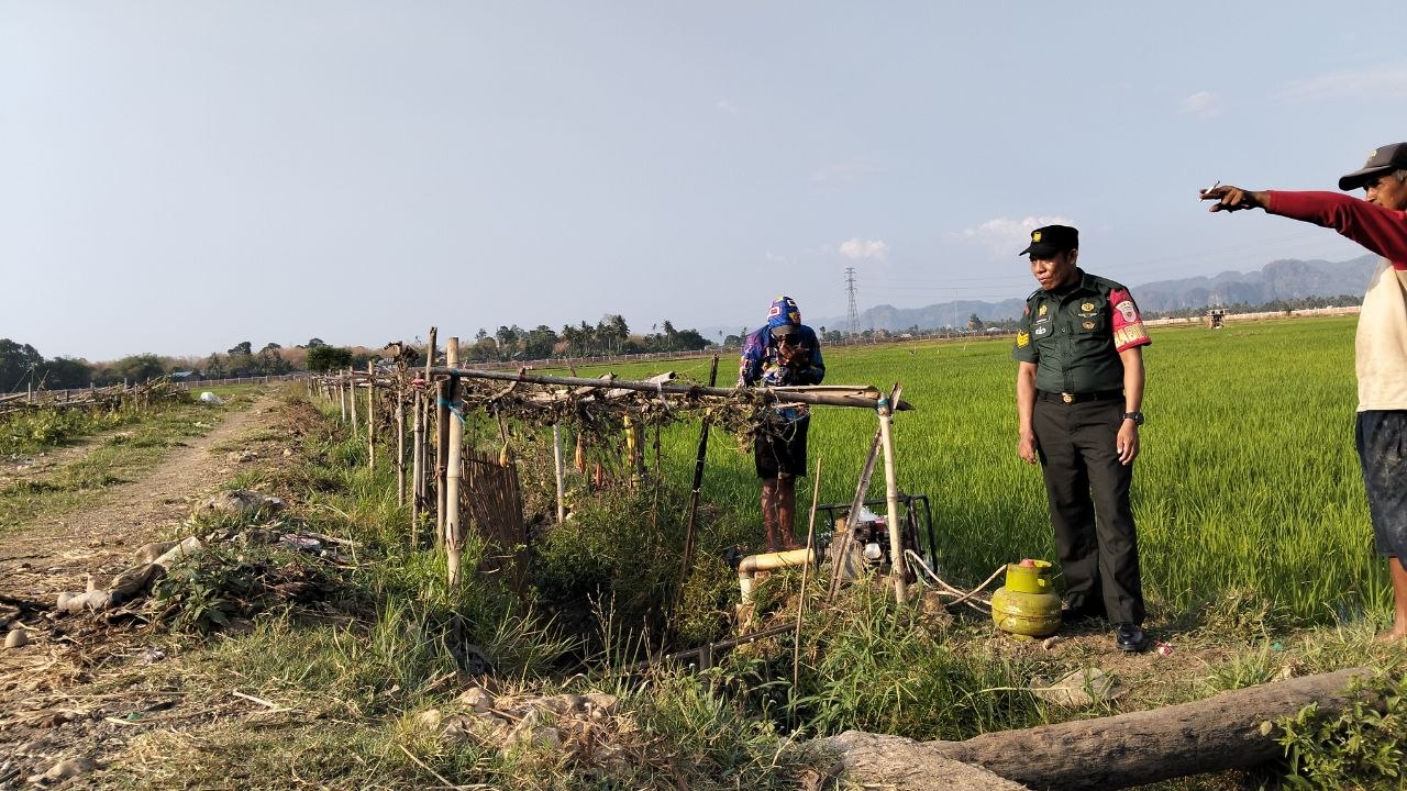 Dukung Produktivitas Pertanian, Babinsa Allepolea Pantau Petani yang Mengairi Sawah dengan Pompa Sumur Bor